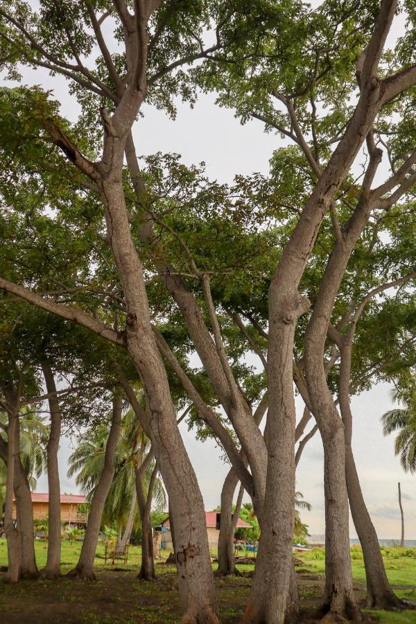 Dahlandia Vila Ilha de Múcura Exterior foto